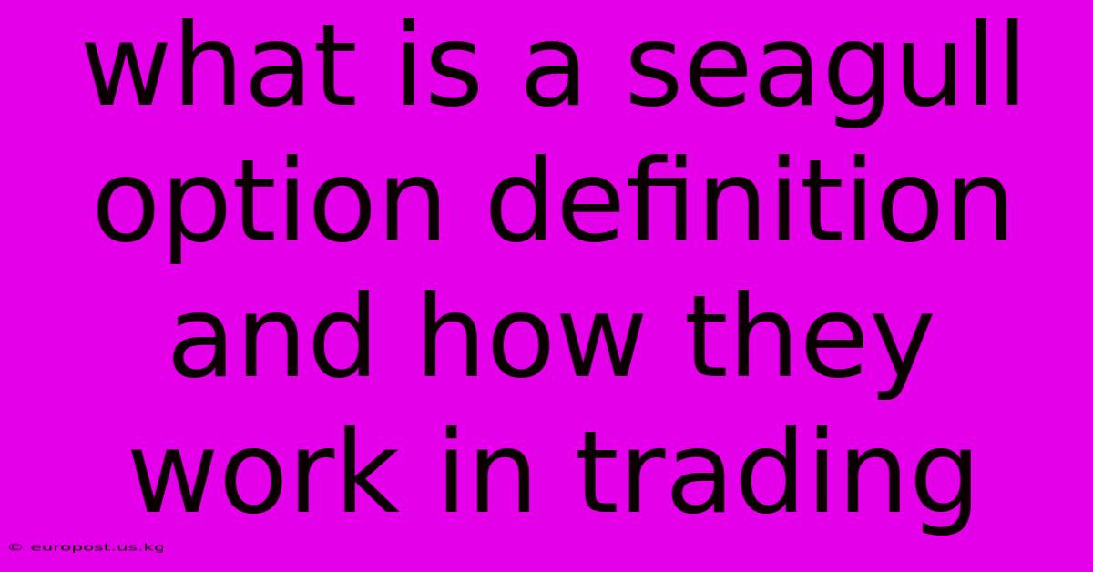 What Is A Seagull Option Definition And How They Work In Trading