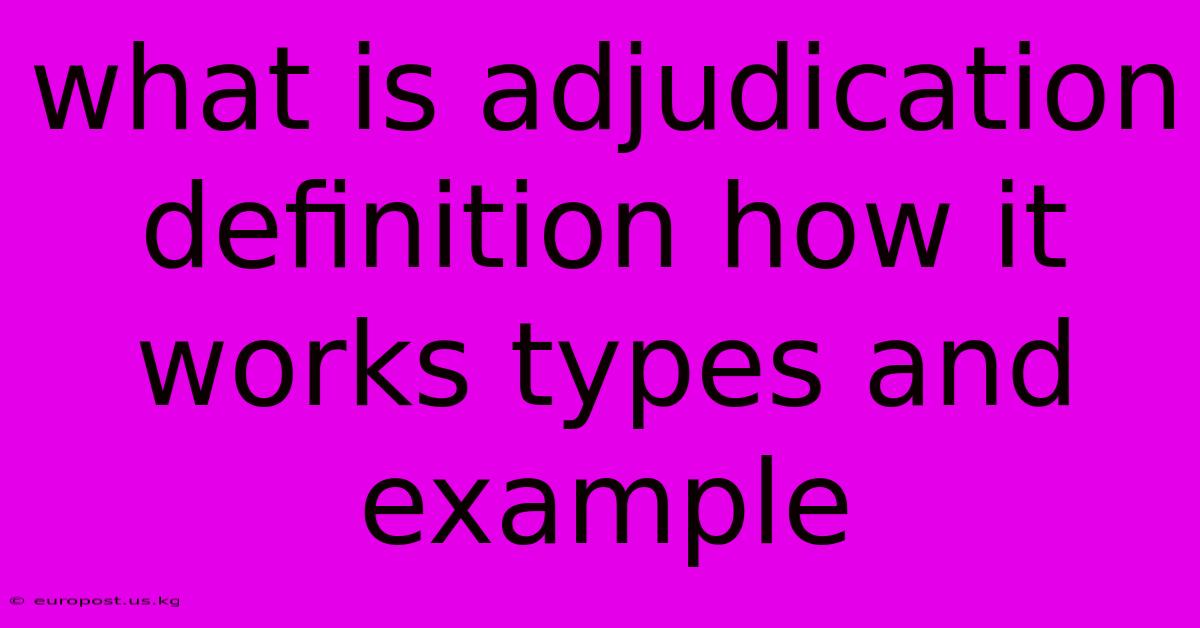 What Is Adjudication Definition How It Works Types And Example