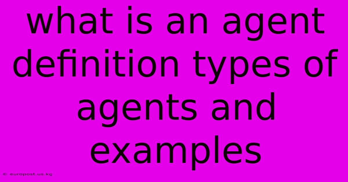 What Is An Agent Definition Types Of Agents And Examples