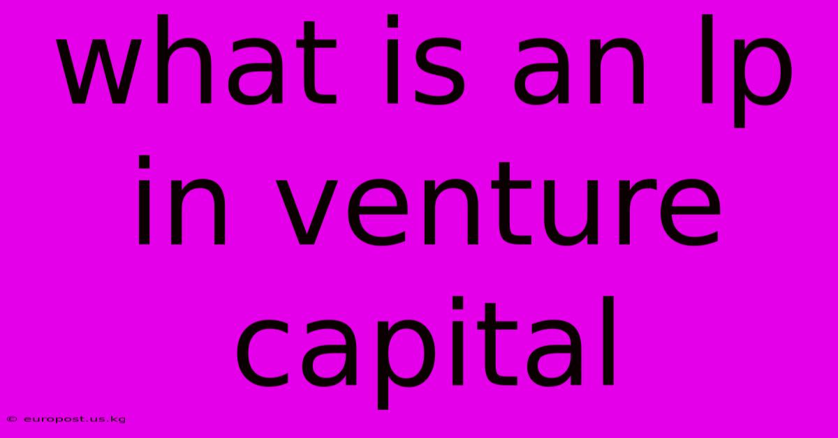 What Is An Lp In Venture Capital