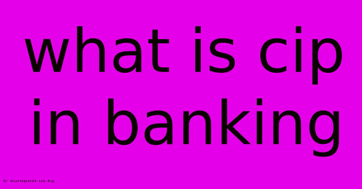 What Is Cip In Banking