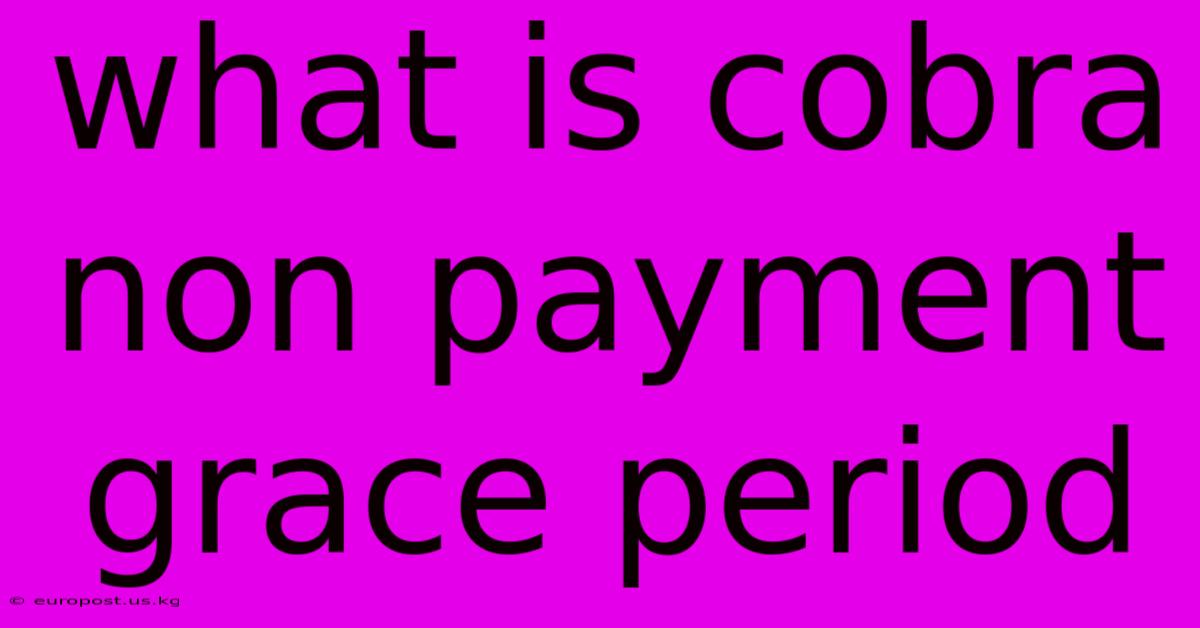 What Is Cobra Non Payment Grace Period