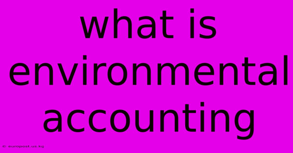 What Is Environmental Accounting