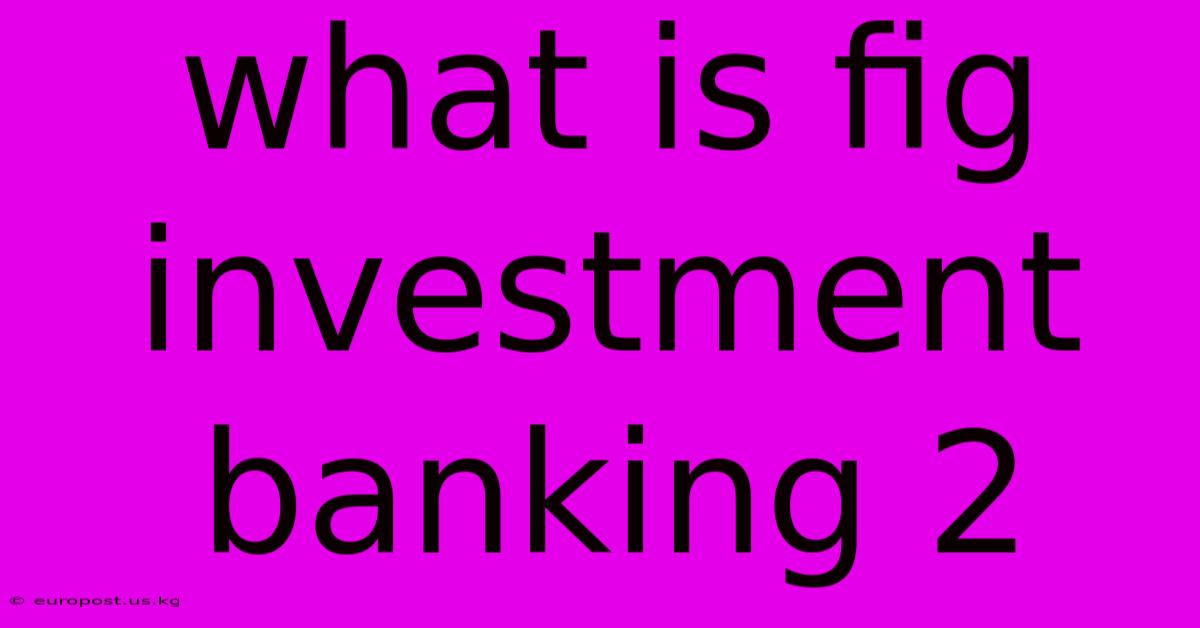 What Is Fig Investment Banking 2