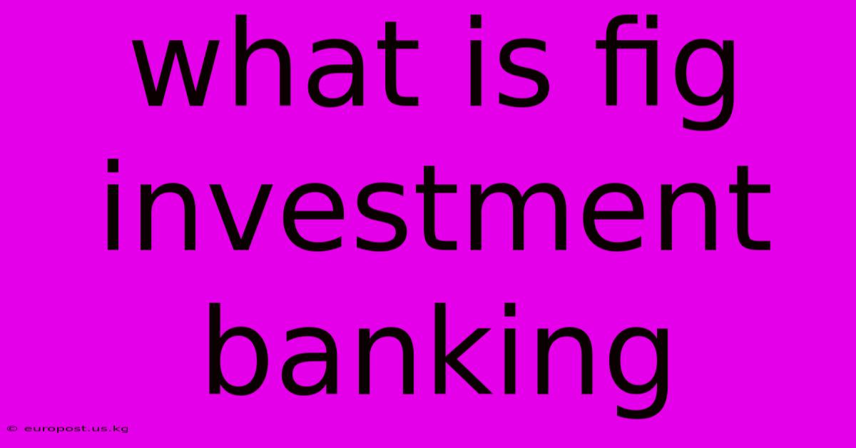 What Is Fig Investment Banking