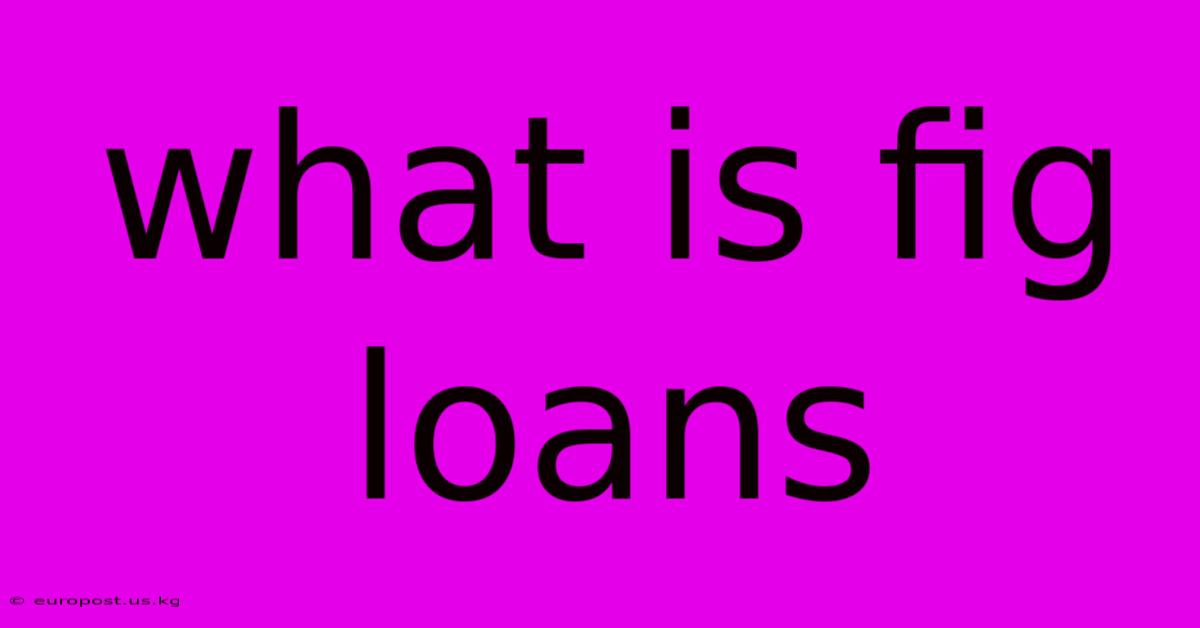 What Is Fig Loans