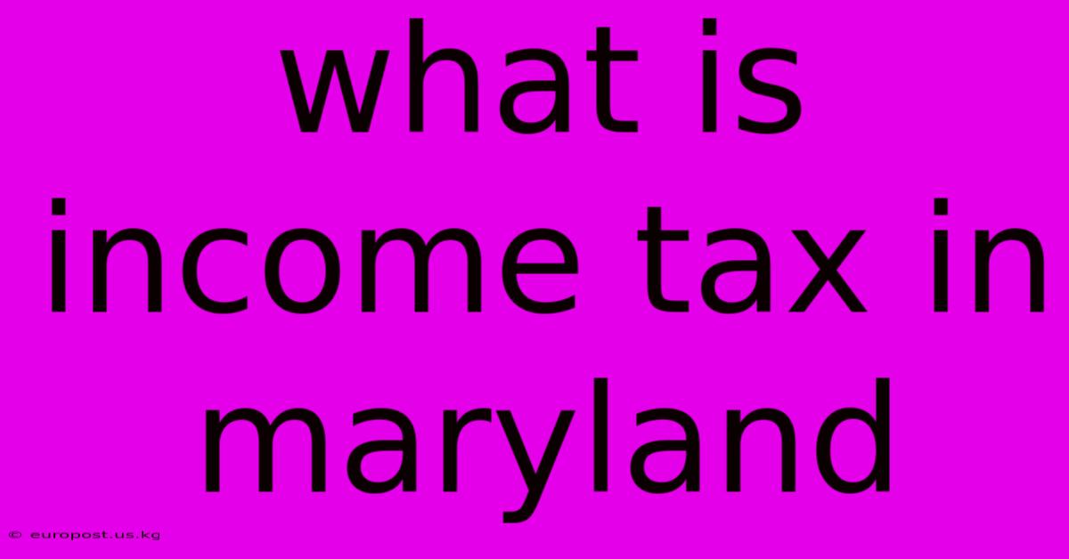 What Is Income Tax In Maryland