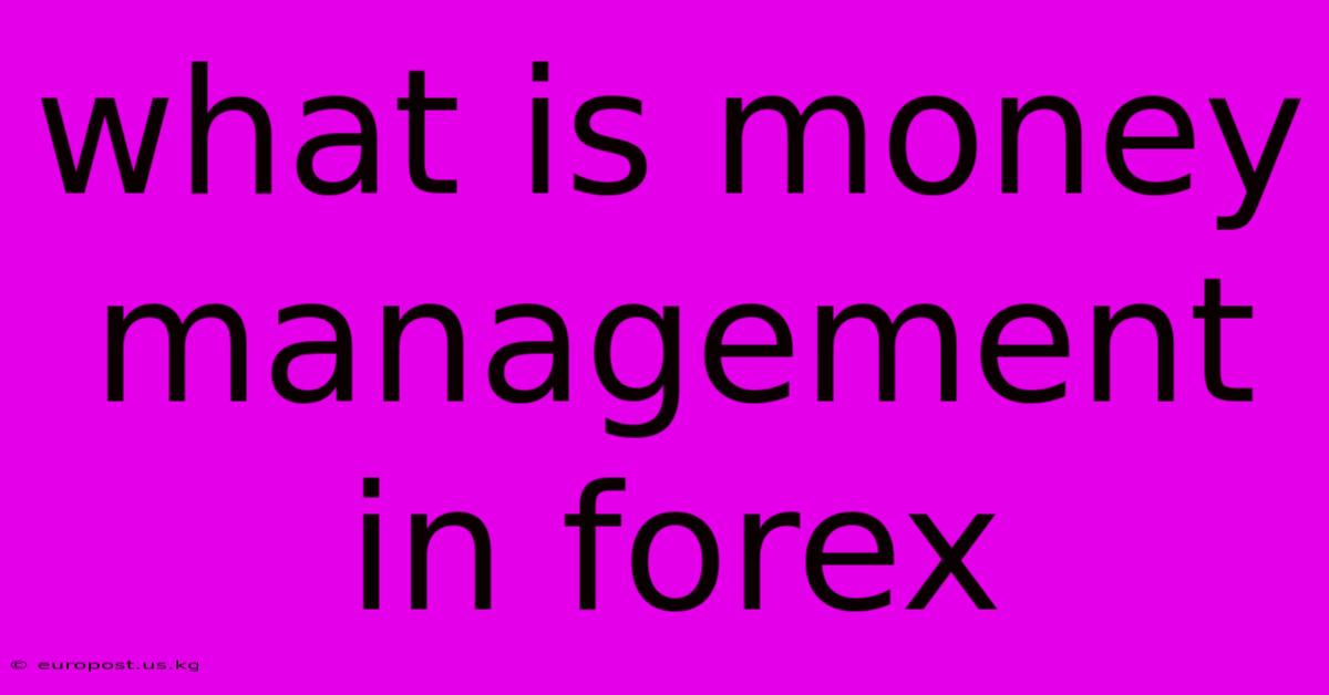 What Is Money Management In Forex