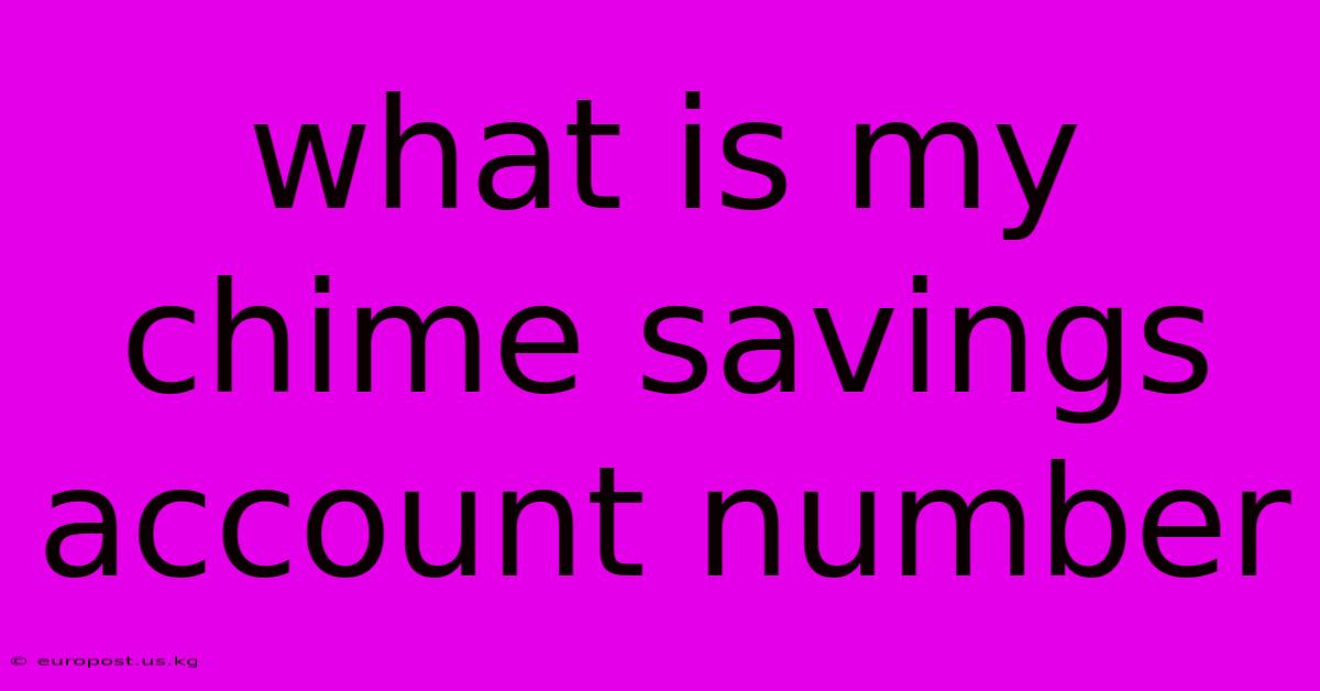 What Is My Chime Savings Account Number