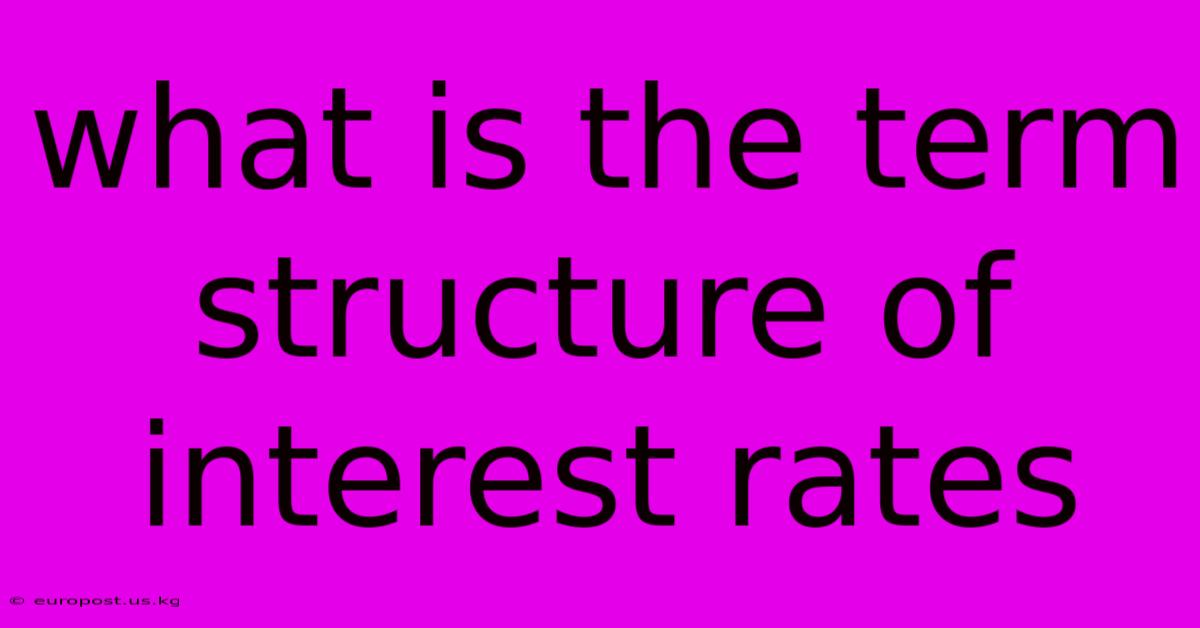 What Is The Term Structure Of Interest Rates