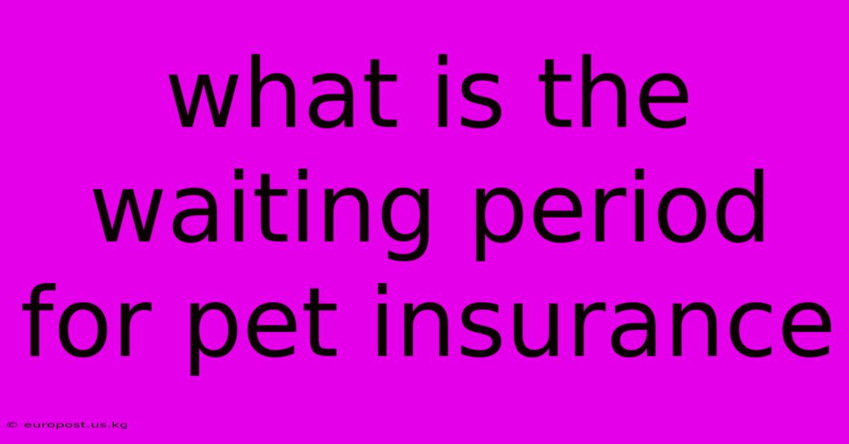 What Is The Waiting Period For Pet Insurance