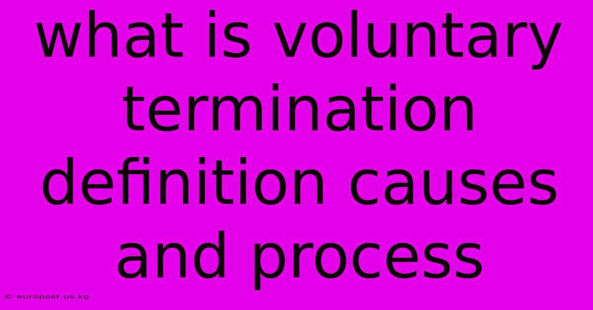 What Is Voluntary Termination Definition Causes And Process