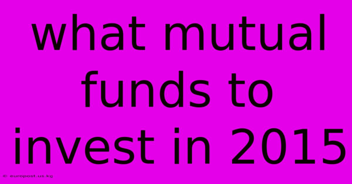 What Mutual Funds To Invest In 2015