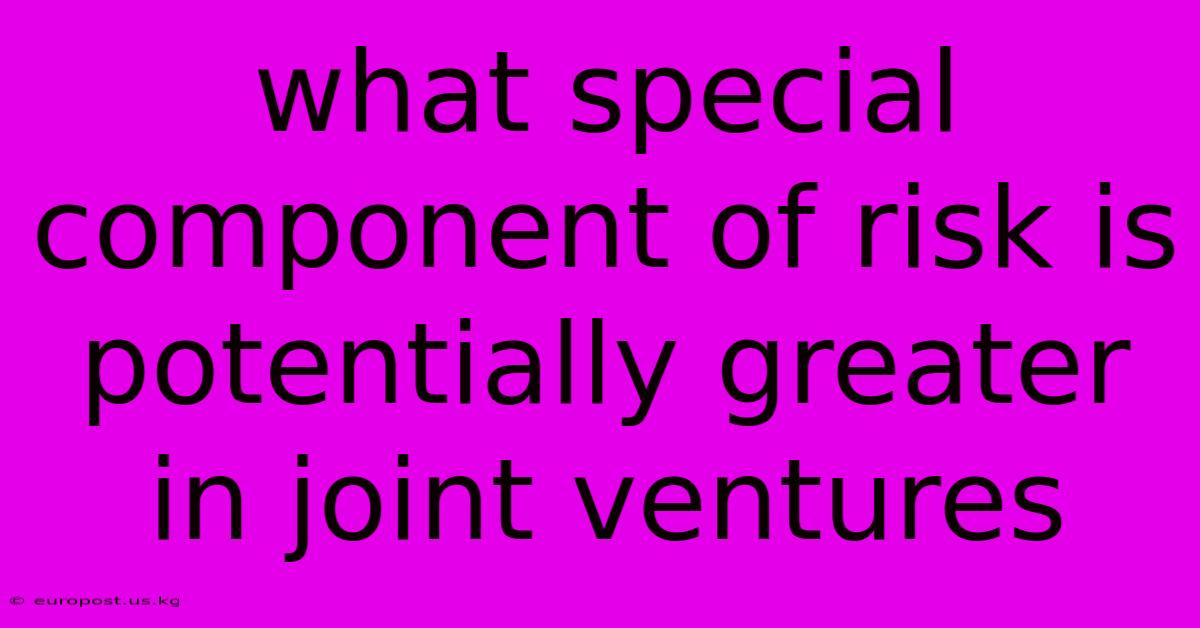 What Special Component Of Risk Is Potentially Greater In Joint Ventures