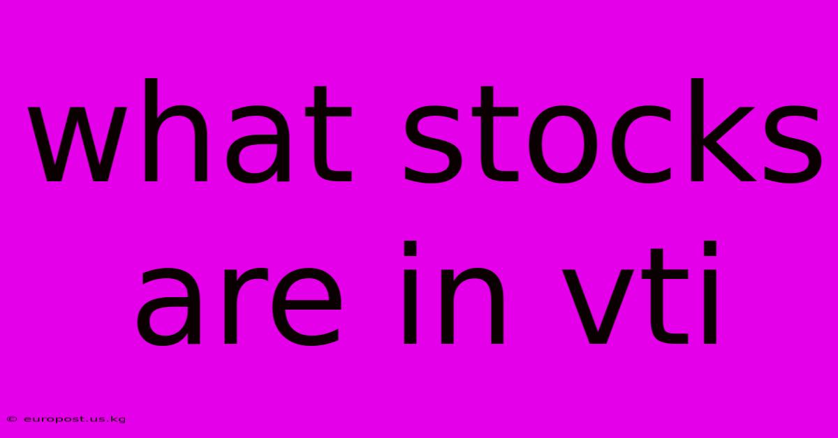 What Stocks Are In Vti