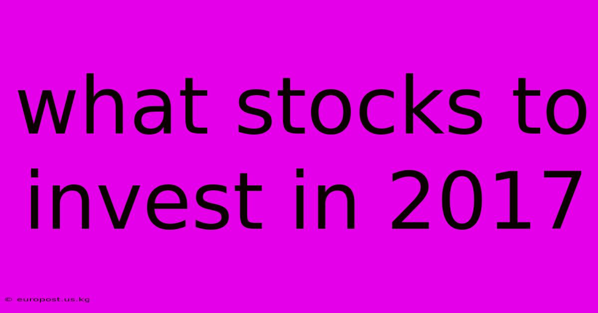 What Stocks To Invest In 2017