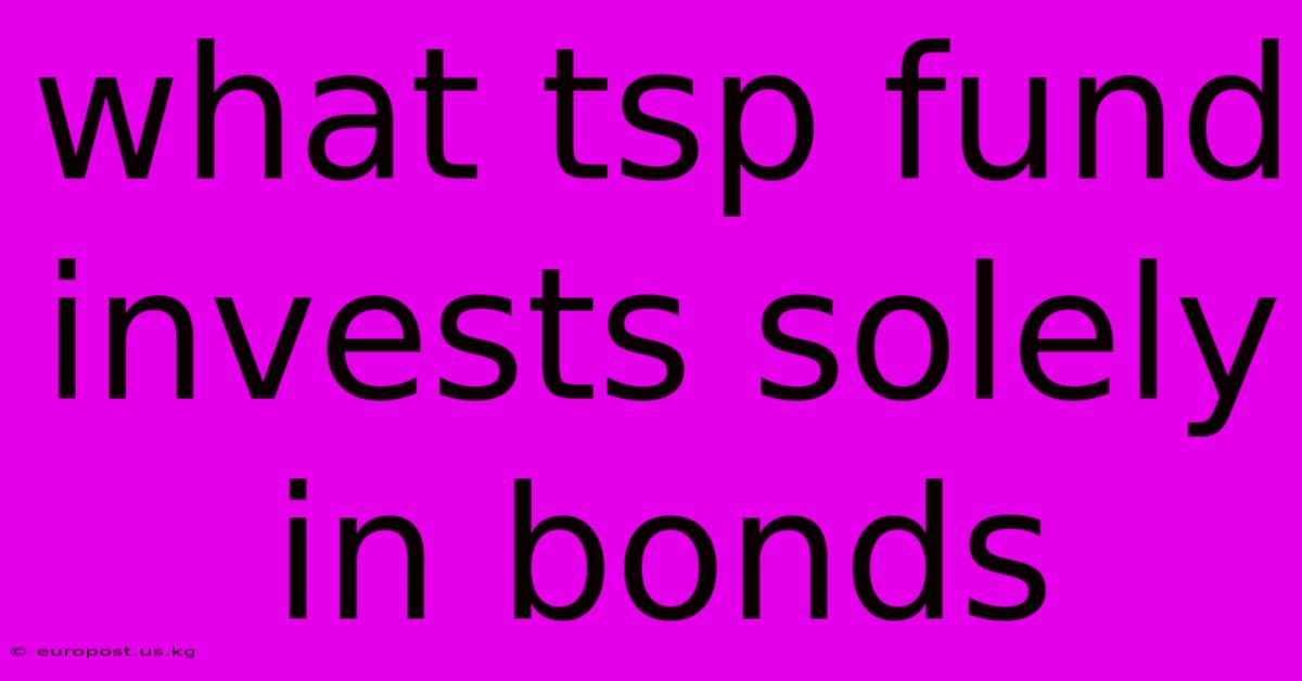 What Tsp Fund Invests Solely In Bonds