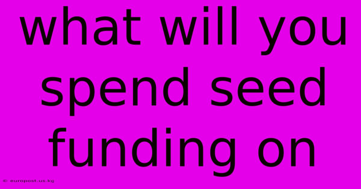 What Will You Spend Seed Funding On