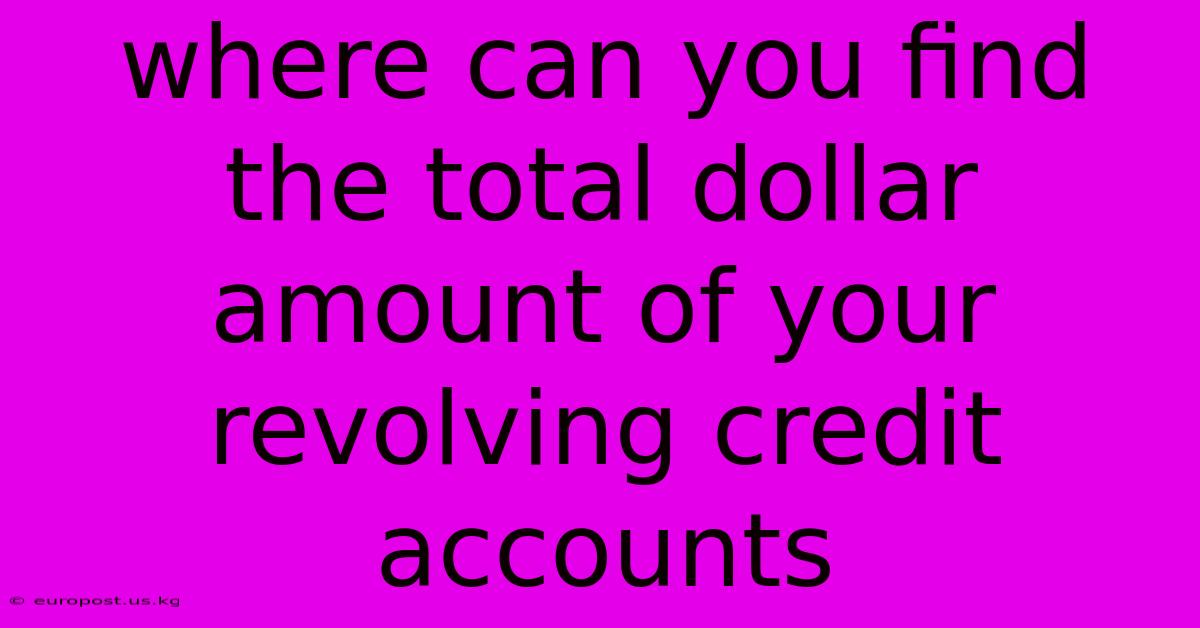 Where Can You Find The Total Dollar Amount Of Your Revolving Credit Accounts