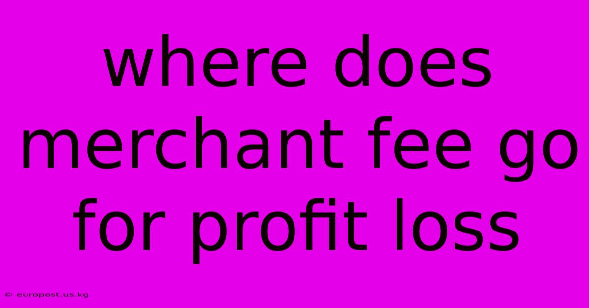 Where Does Merchant Fee Go For Profit Loss