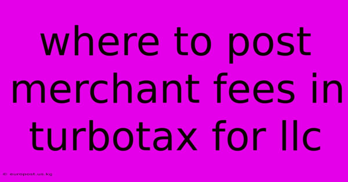 Where To Post Merchant Fees In Turbotax For Llc