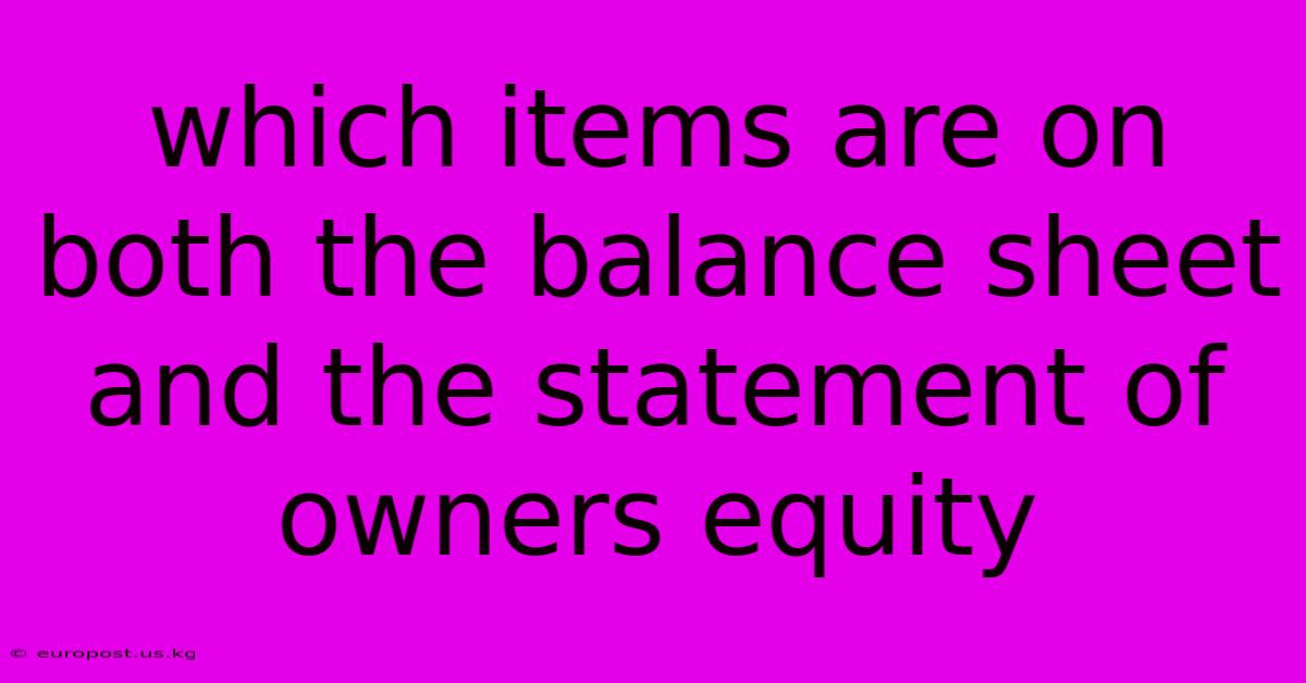 Which Items Are On Both The Balance Sheet And The Statement Of Owners Equity