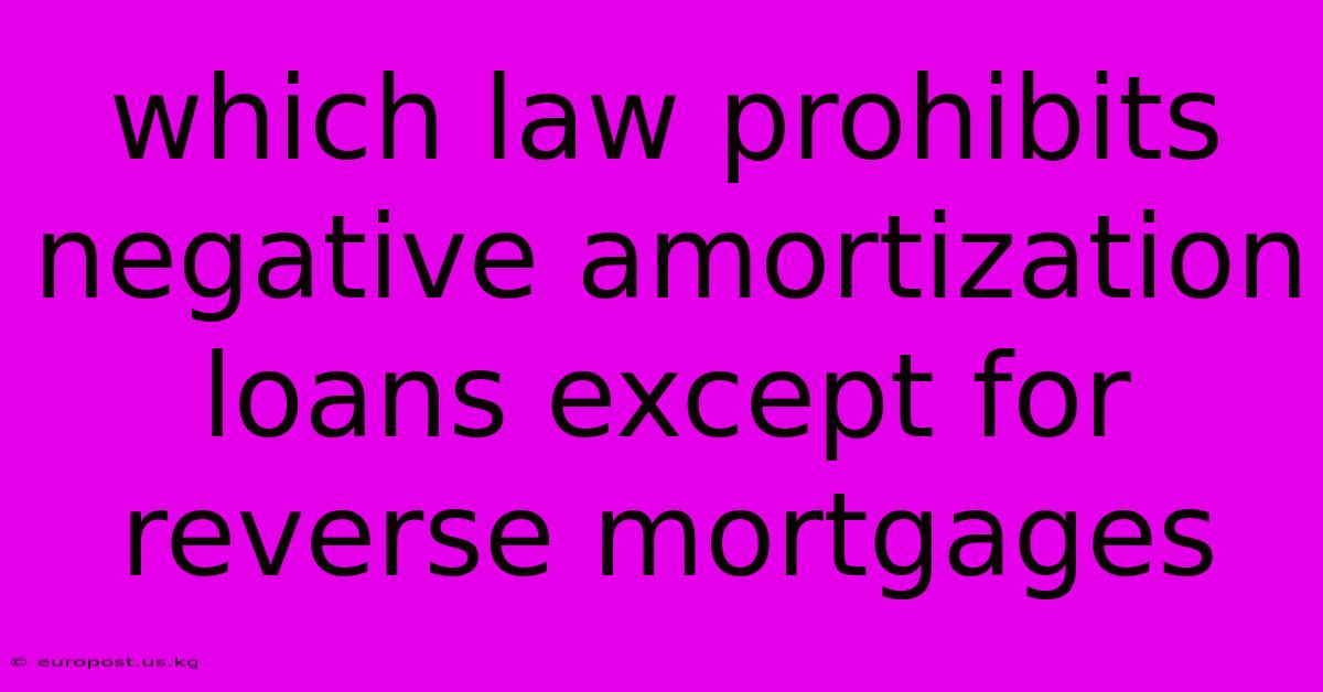 Which Law Prohibits Negative Amortization Loans Except For Reverse Mortgages