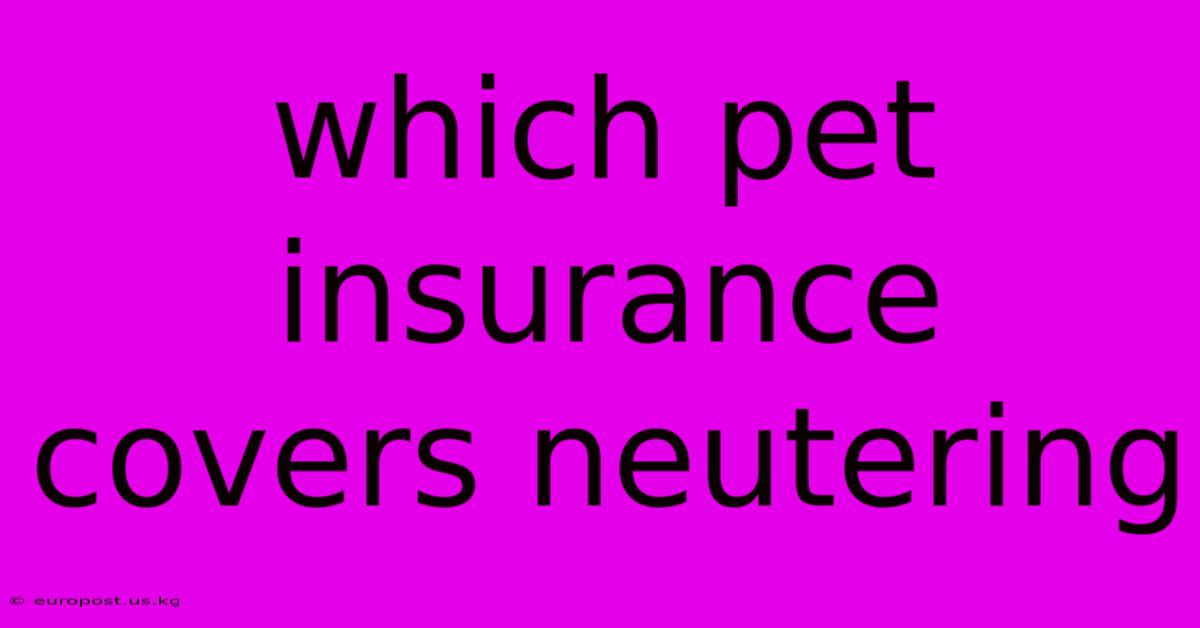 Which Pet Insurance Covers Neutering