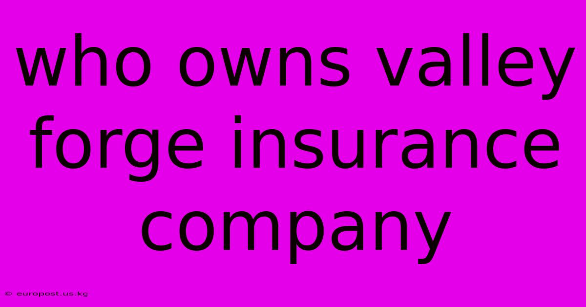 Who Owns Valley Forge Insurance Company