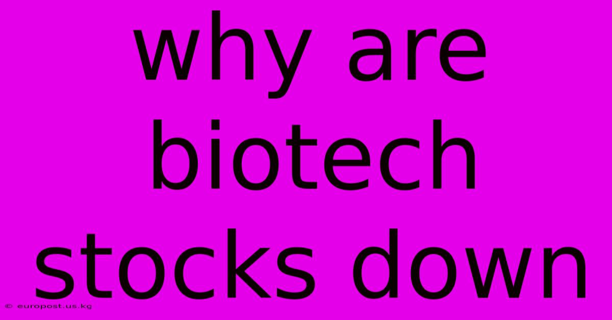 Why Are Biotech Stocks Down