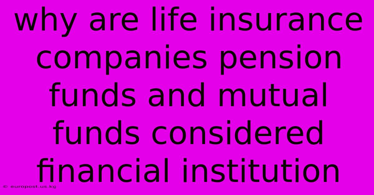 Why Are Life Insurance Companies Pension Funds And Mutual Funds Considered Financial Institution