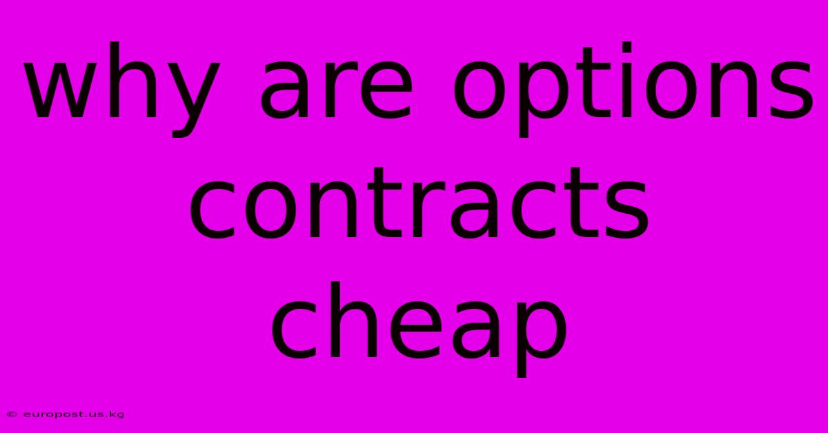 Why Are Options Contracts Cheap