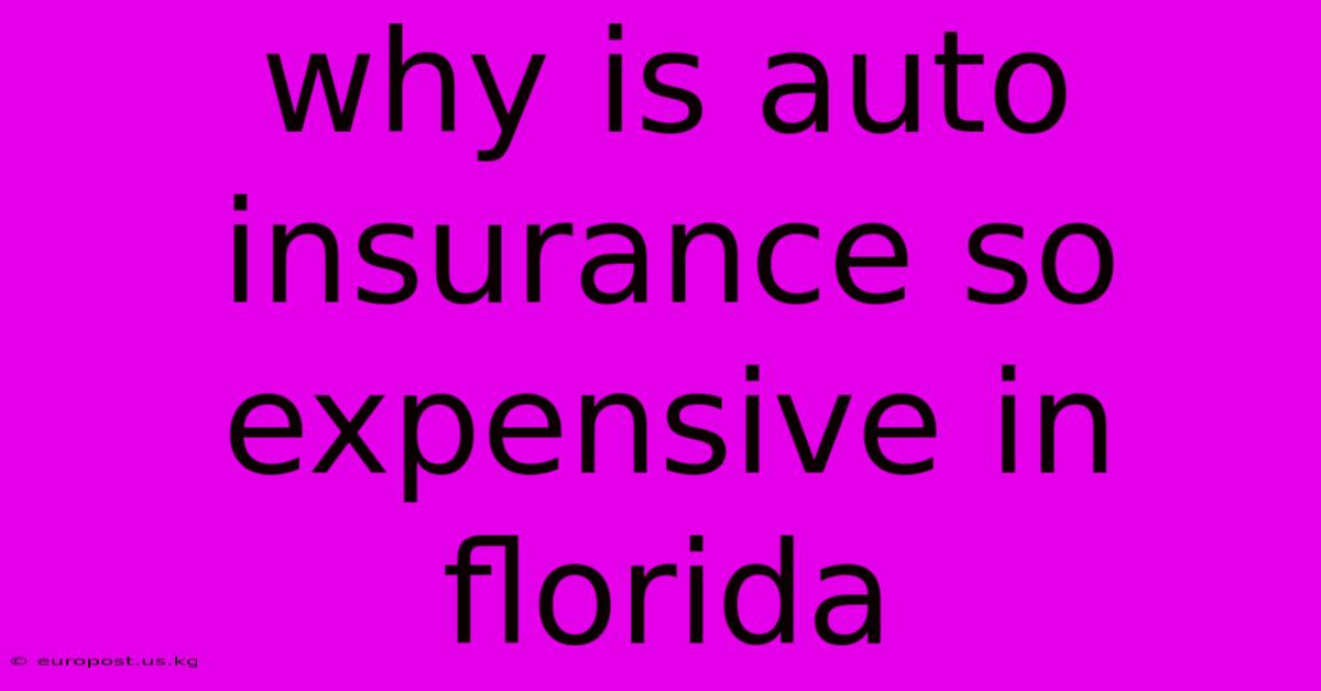 Why Is Auto Insurance So Expensive In Florida