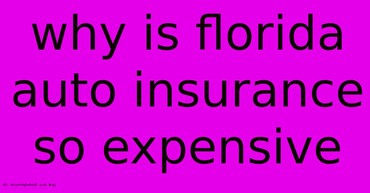 Why Is Florida Auto Insurance So Expensive