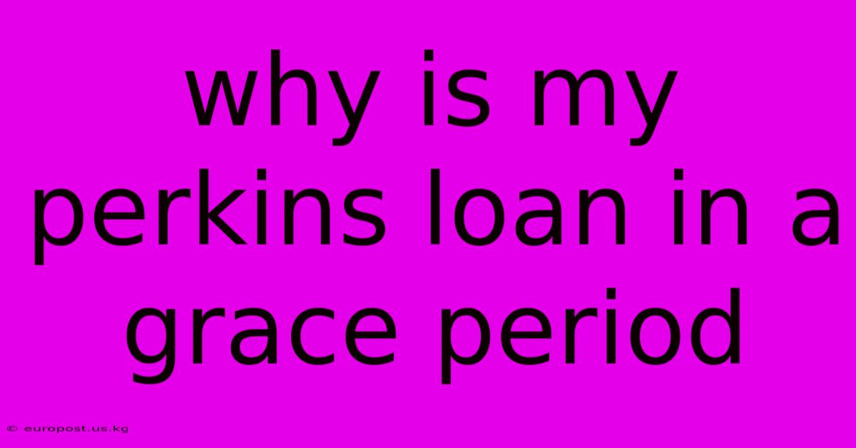 Why Is My Perkins Loan In A Grace Period